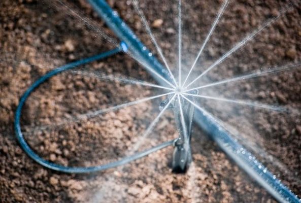 Sprinklers Sprinklers